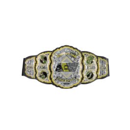 Championship Belt