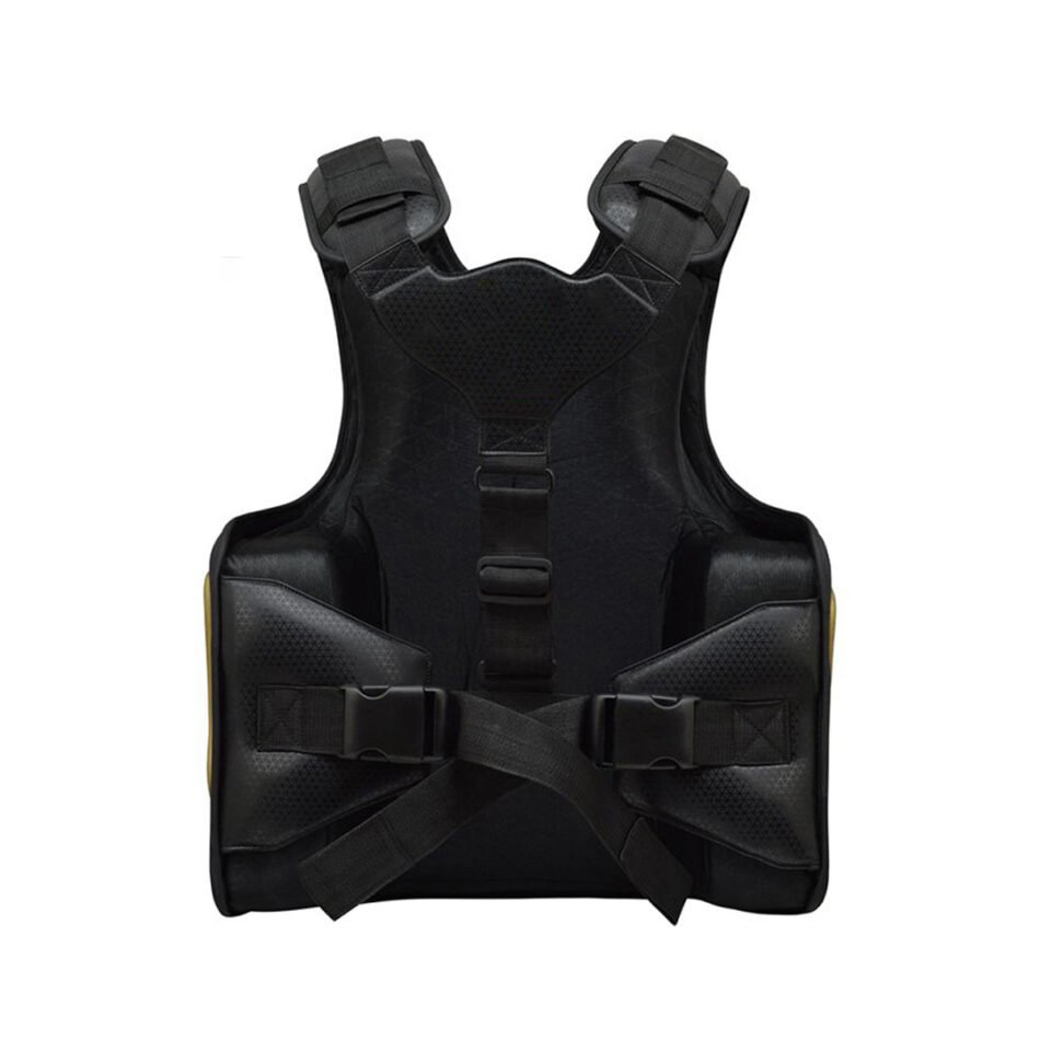 Chest Guard - Image 2