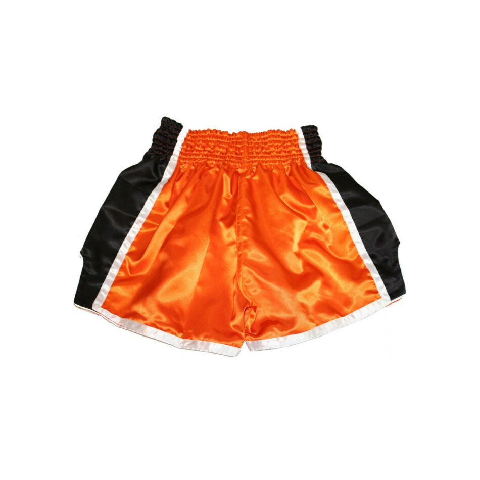 Muay Thai Shorts - Image 2