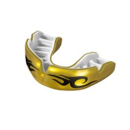 Mouth Guard